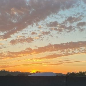 Meet your Posher, Lani